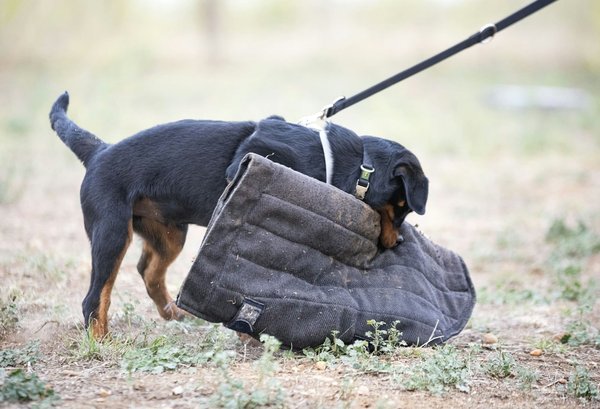 Optimizing Your Lane Departure Warning System for Safe Driving on Rural Roads in the UK